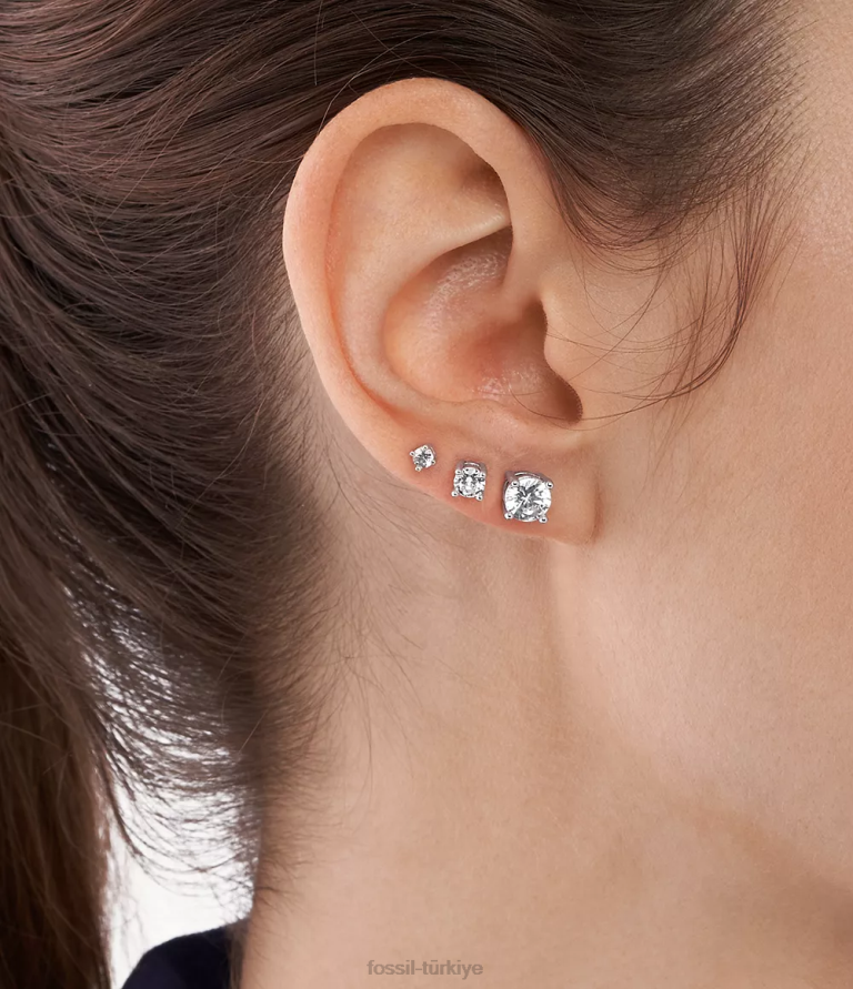 Fossil 6J041256 gümüş pirinç küpe seti takı kadınlar