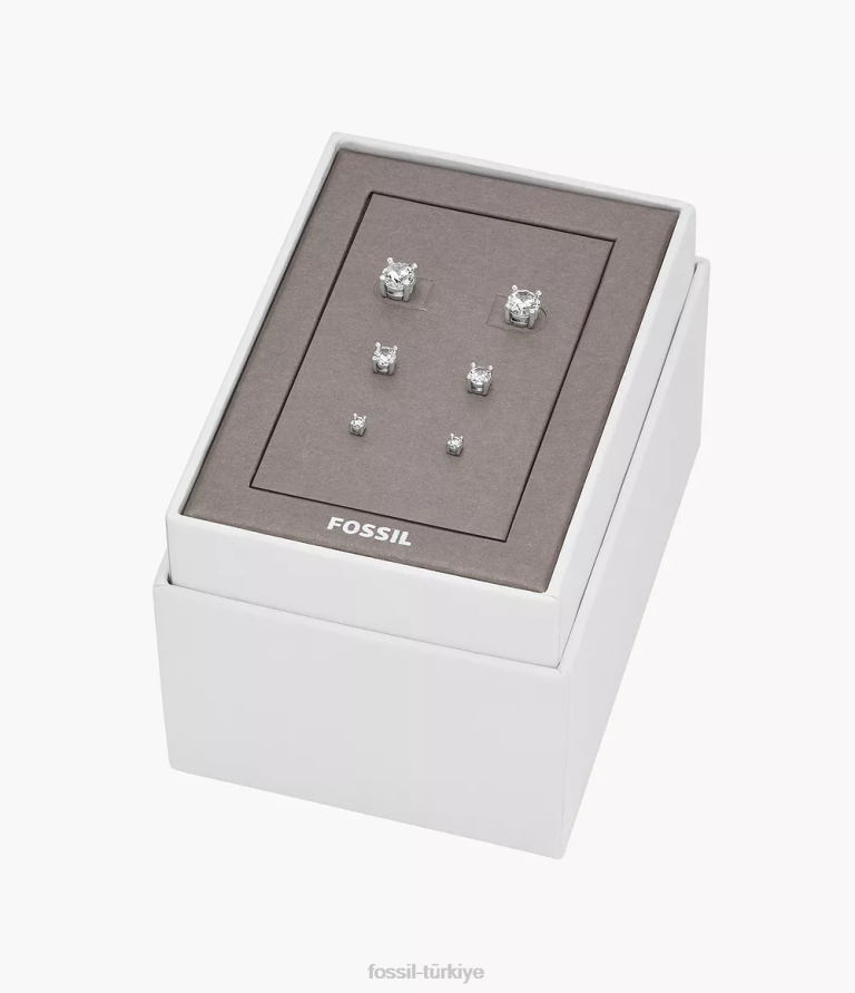 Fossil 6J041256 gümüş pirinç küpe seti takı kadınlar