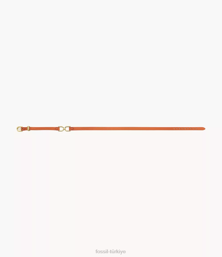 Fossil 6J041000 hükümdar turuncu miras d-link deri kayış bileklik takı kadınlar