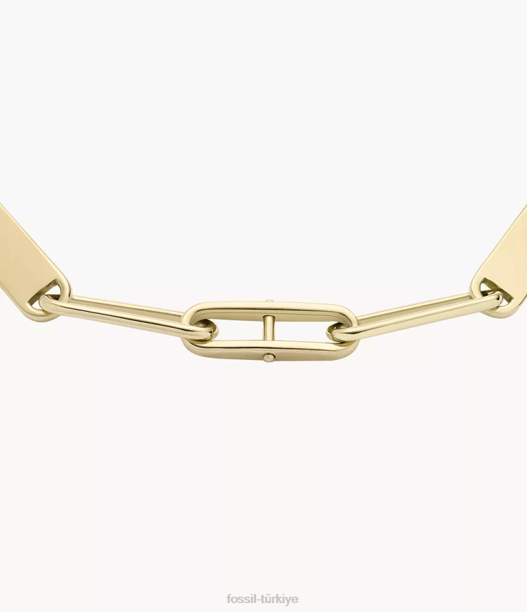 Fossil 6J041014 altın tonu miras essentials paslanmaz çelik zincir bilezik takı kadınlar