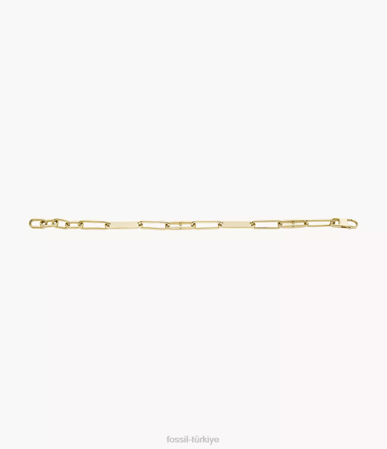 Fossil 6J041014 altın tonu miras essentials paslanmaz çelik zincir bilezik takı kadınlar