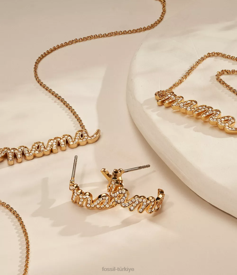 Fossil 6J041168 altın tonu pirinç zincir bilezik takı kadınlar