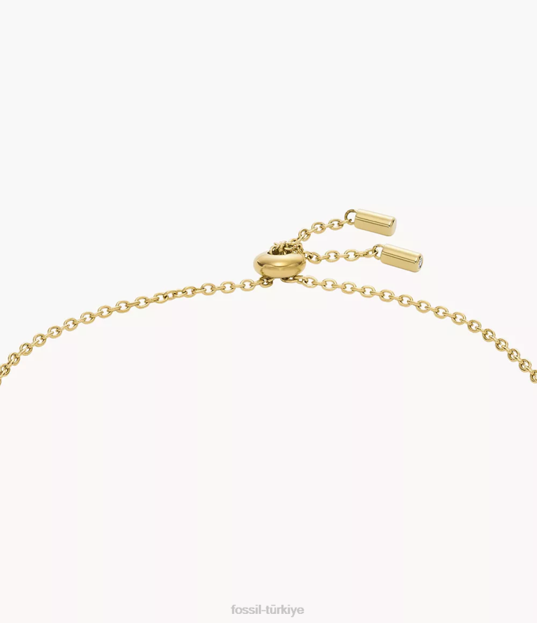 Fossil 6J041230 altın tonu elliott paslanmaz çelik zincir bilezik takı kadınlar