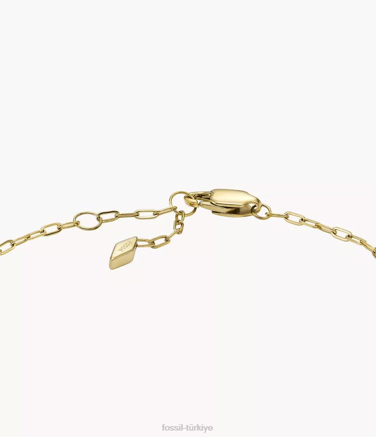 Fossil 6J041288 altın tonu ela paslanmaz çelik istasyon bileziği takı kadınlar