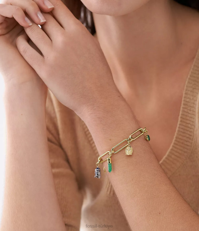 Fossil 6J04962 opal/yeşil acenturin/mavi emaye yıldız savaşları çekicilik bilezik takı kadınlar