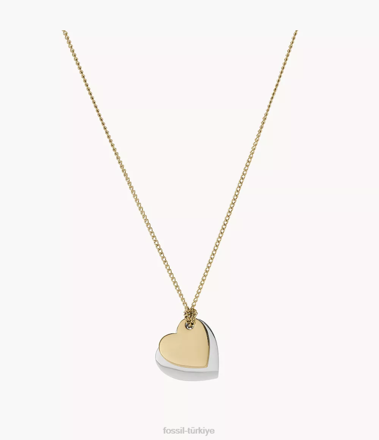 Fossil 6J041135 iki ton şeritli paslanmaz çelik kalp zincir kolye takı kadınlar