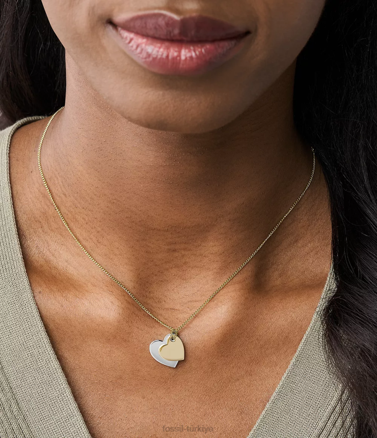 Fossil 6J041135 iki ton şeritli paslanmaz çelik kalp zincir kolye takı kadınlar