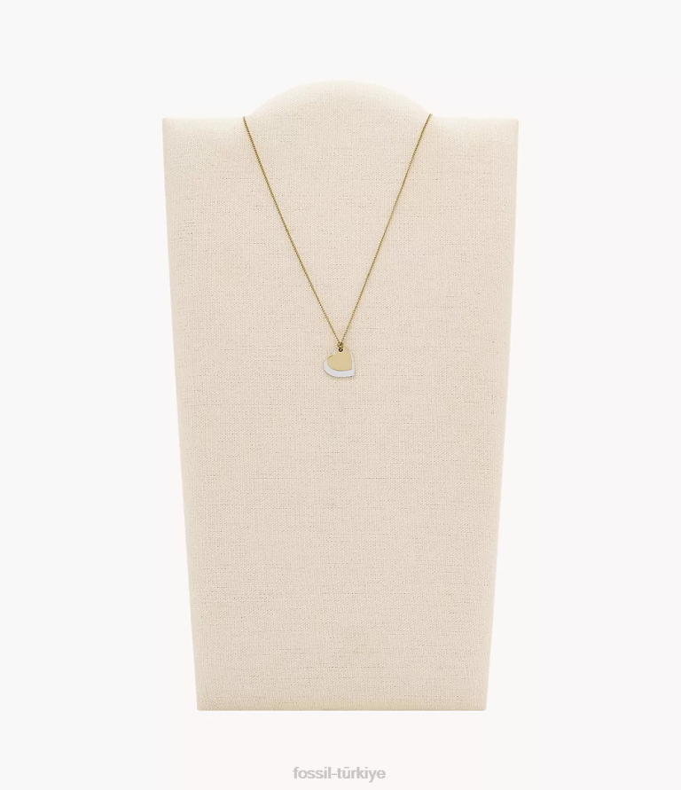 Fossil 6J041135 iki ton şeritli paslanmaz çelik kalp zincir kolye takı kadınlar