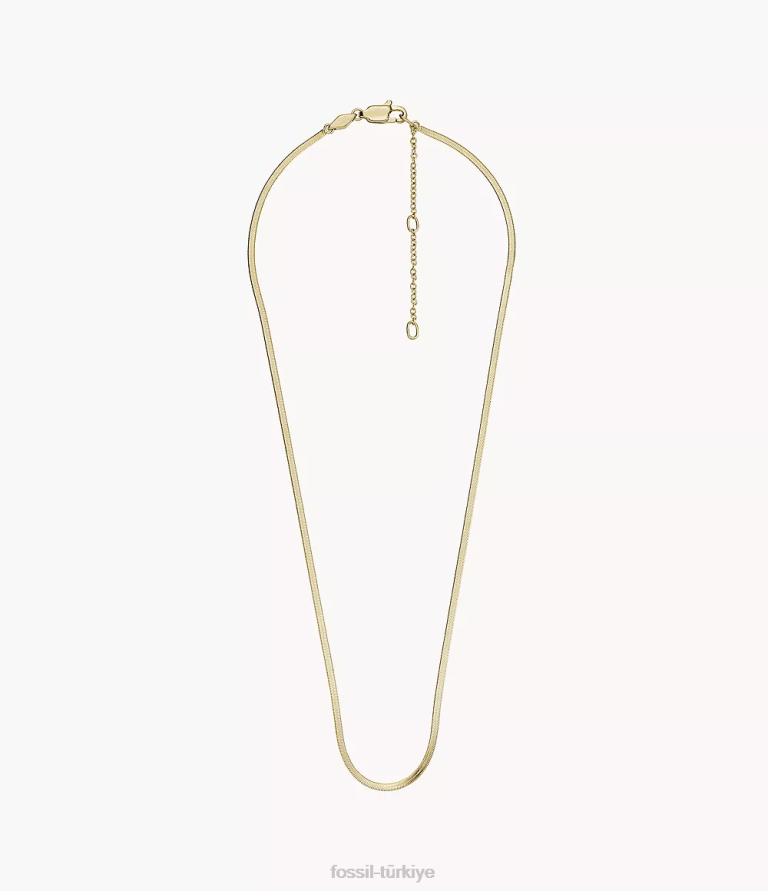 Fossil 6J041140 altın tonu oh çok sevimli paslanmaz çelik yılan zincir kolye takı kadınlar