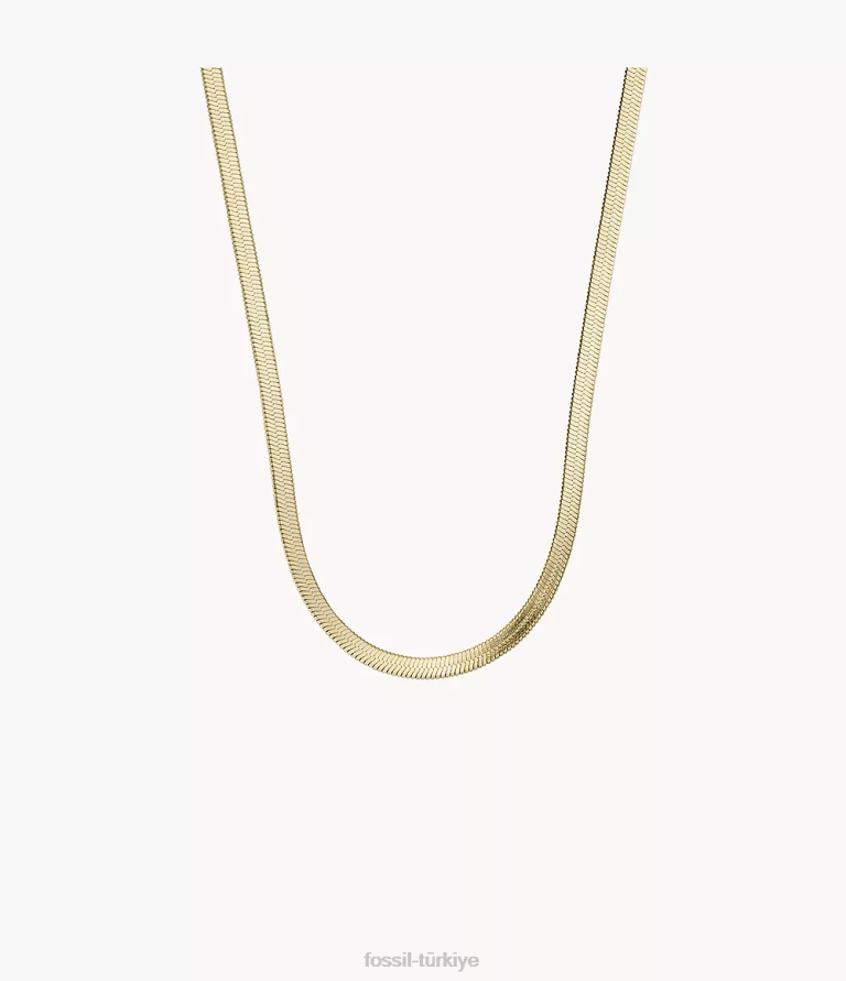 Fossil 6J041140 altın tonu oh çok sevimli paslanmaz çelik yılan zincir kolye takı kadınlar