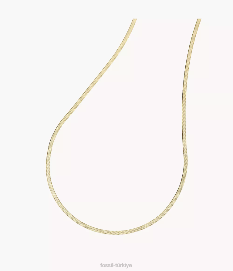 Fossil 6J041140 altın tonu oh çok sevimli paslanmaz çelik yılan zincir kolye takı kadınlar