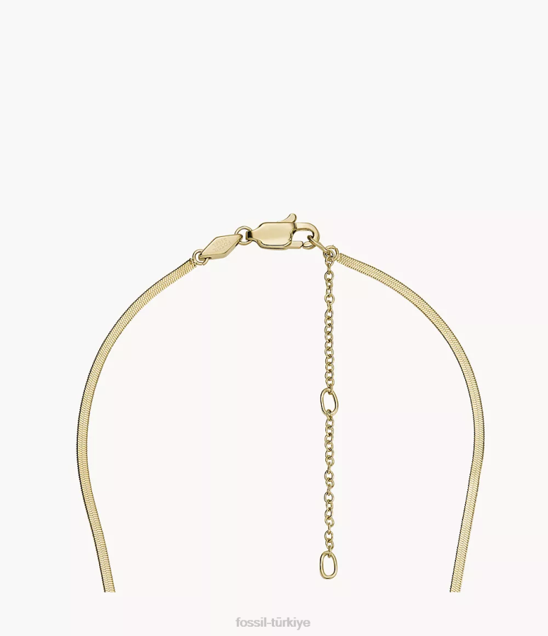 Fossil 6J041140 altın tonu oh çok sevimli paslanmaz çelik yılan zincir kolye takı kadınlar