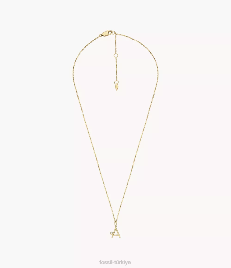 Fossil 6J041156 altın tonu paslanmaz çelik ilk kolye kolye takı kadınlar