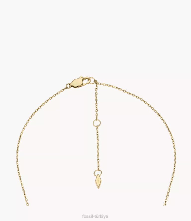 Fossil 6J041156 altın tonu paslanmaz çelik ilk kolye kolye takı kadınlar