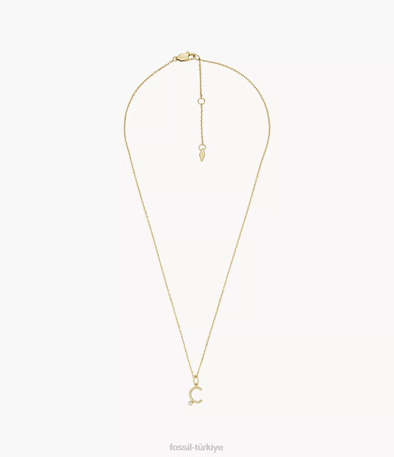 Fossil 6J041166 altın tonu paslanmaz çelik ilk kolye kolye takı kadınlar