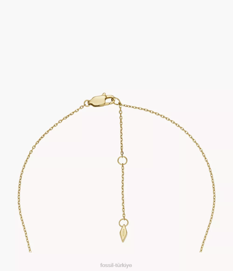 Fossil 6J041166 altın tonu paslanmaz çelik ilk kolye kolye takı kadınlar