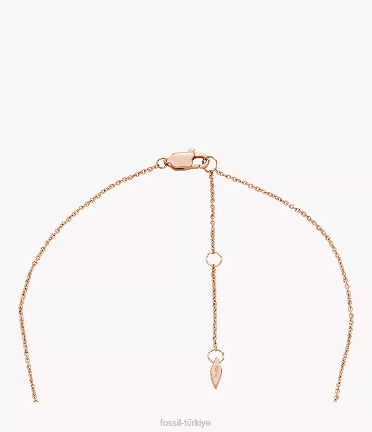 Fossil 6J041173 gri sedef zincir kolye takı kadınlar