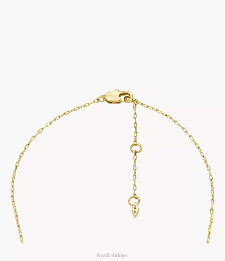 Fossil 6J041178 altın tonu ela pirinç zincir kolye takı kadınlar