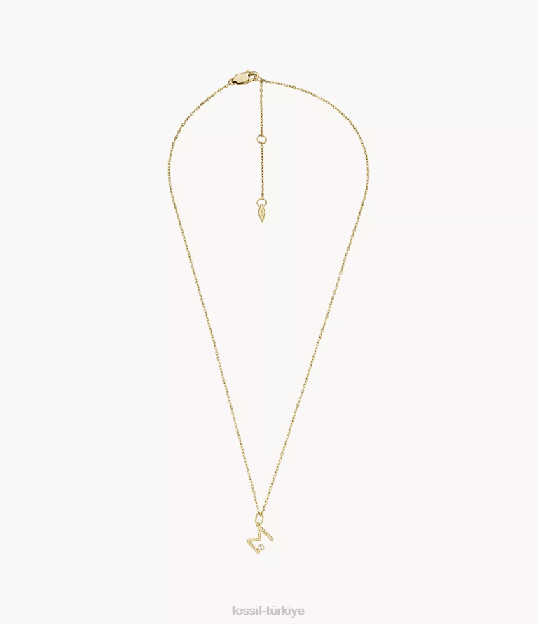 Fossil 6J041180 altın tonu paslanmaz çelik ilk kolye kolye takı kadınlar