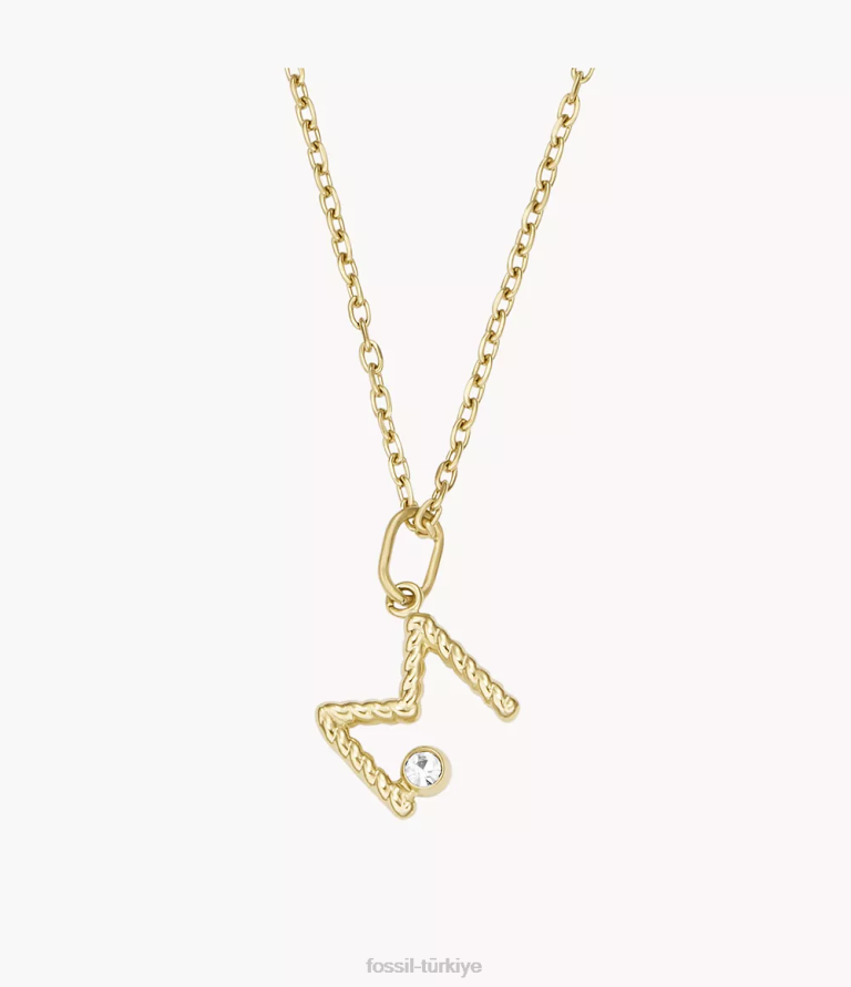 Fossil 6J041180 altın tonu paslanmaz çelik ilk kolye kolye takı kadınlar