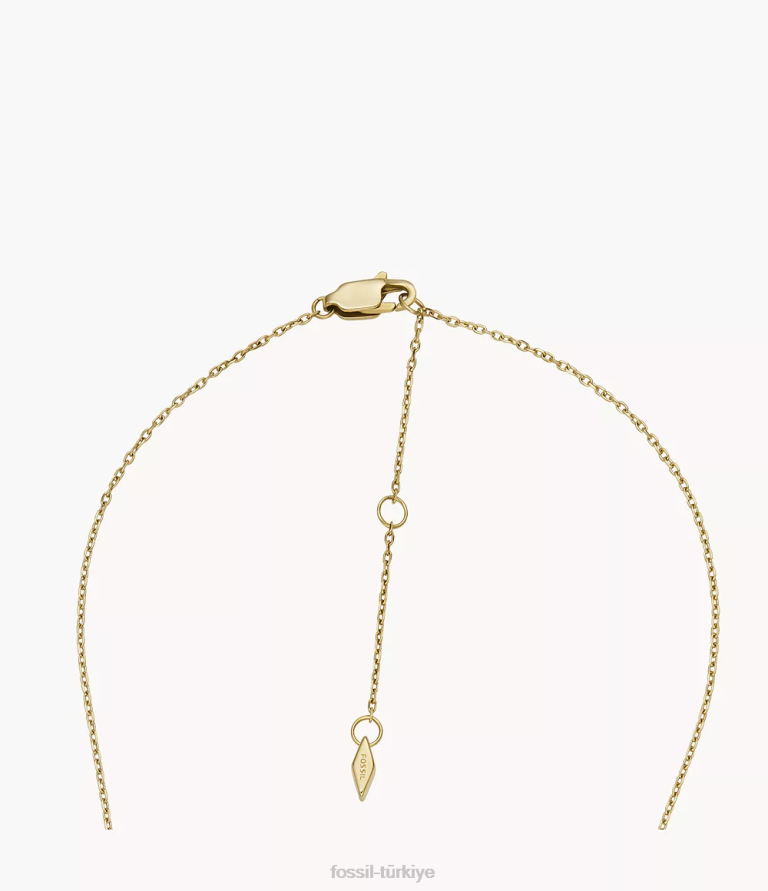 Fossil 6J041180 altın tonu paslanmaz çelik ilk kolye kolye takı kadınlar