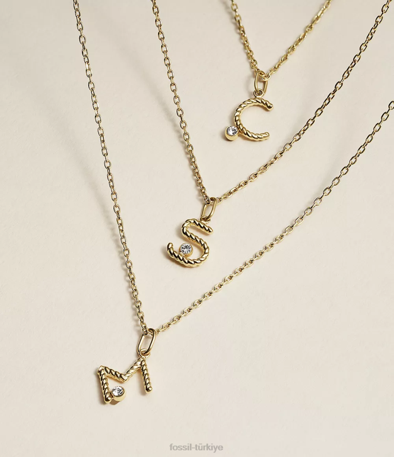 Fossil 6J041180 altın tonu paslanmaz çelik ilk kolye kolye takı kadınlar