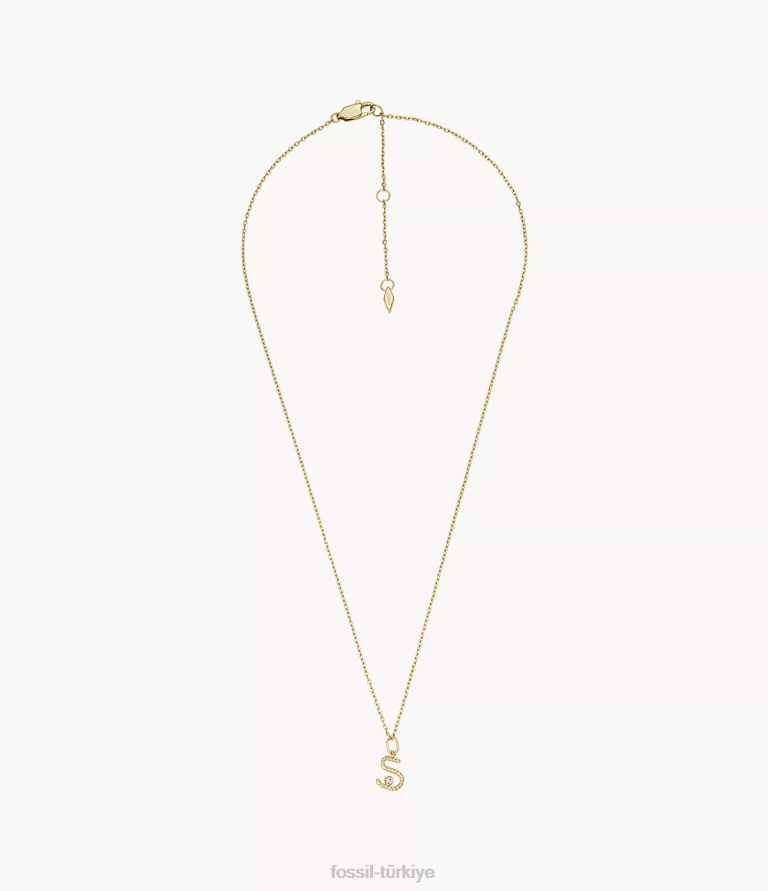 Fossil 6J041182 altın tonu paslanmaz çelik ilk kolye kolye takı kadınlar