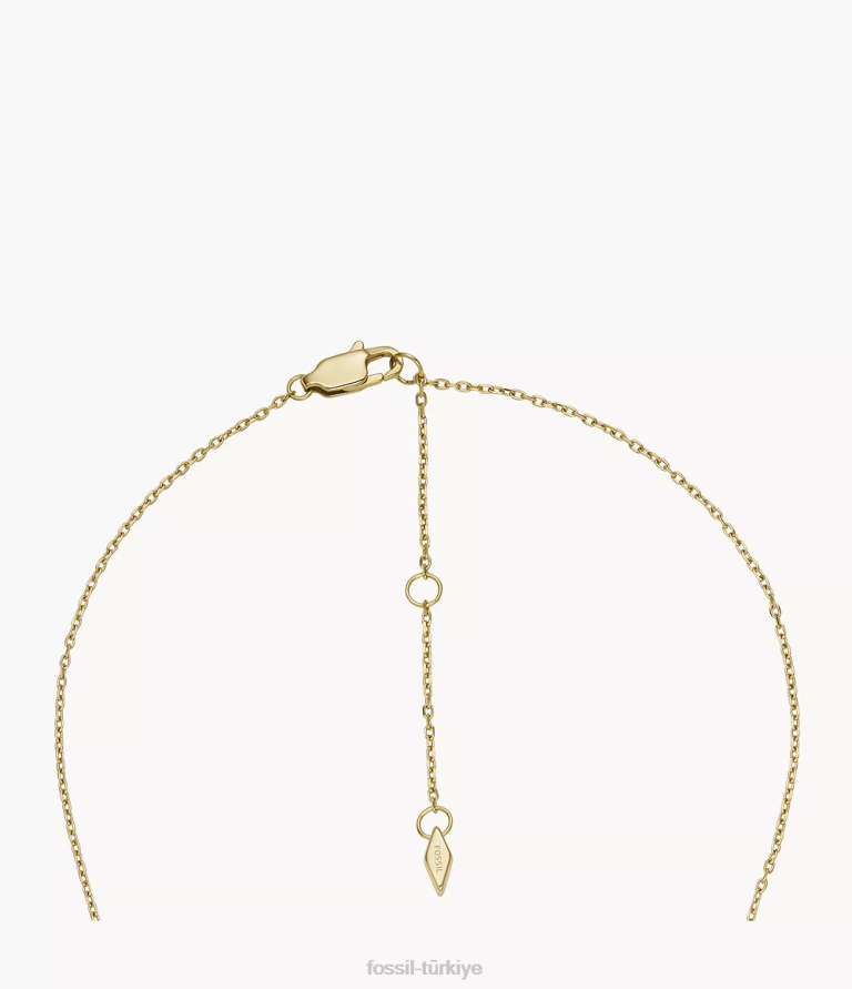 Fossil 6J041182 altın tonu paslanmaz çelik ilk kolye kolye takı kadınlar