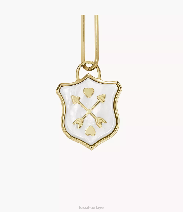 Fossil 6J041183 sedef sutton kalkanı paslanmaz çelik zincir kolye takı kadınlar