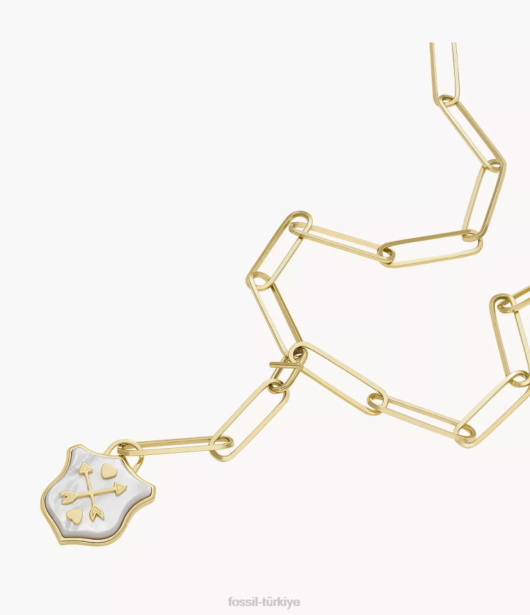 Fossil 6J041183 sedef sutton kalkanı paslanmaz çelik zincir kolye takı kadınlar