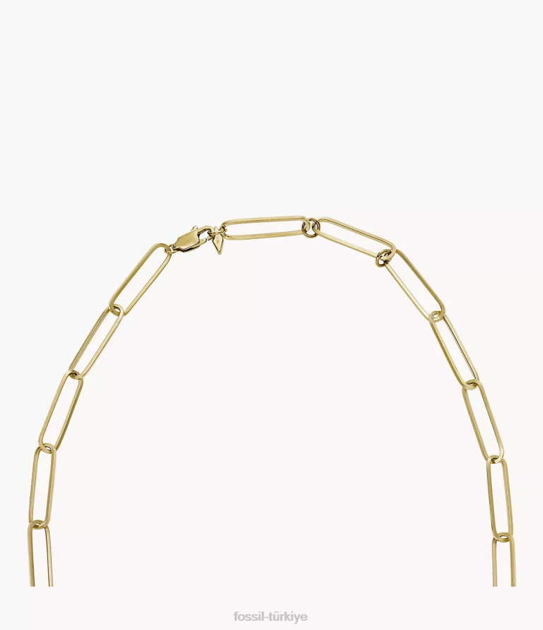 Fossil 6J041183 sedef sutton kalkanı paslanmaz çelik zincir kolye takı kadınlar