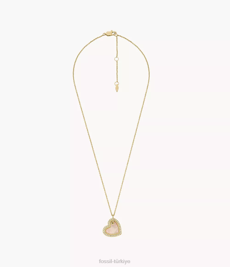 Fossil 6J041187 pembe sedef merritt kolye kolye takı kadınlar