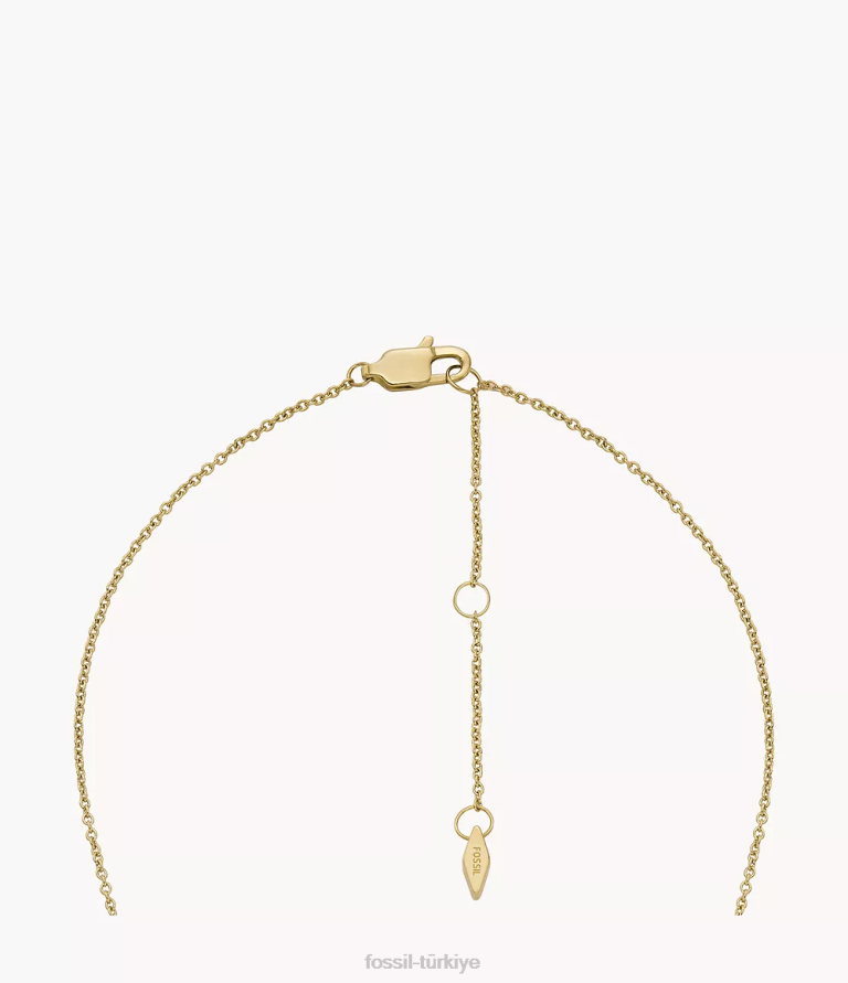 Fossil 6J041187 pembe sedef merritt kolye kolye takı kadınlar