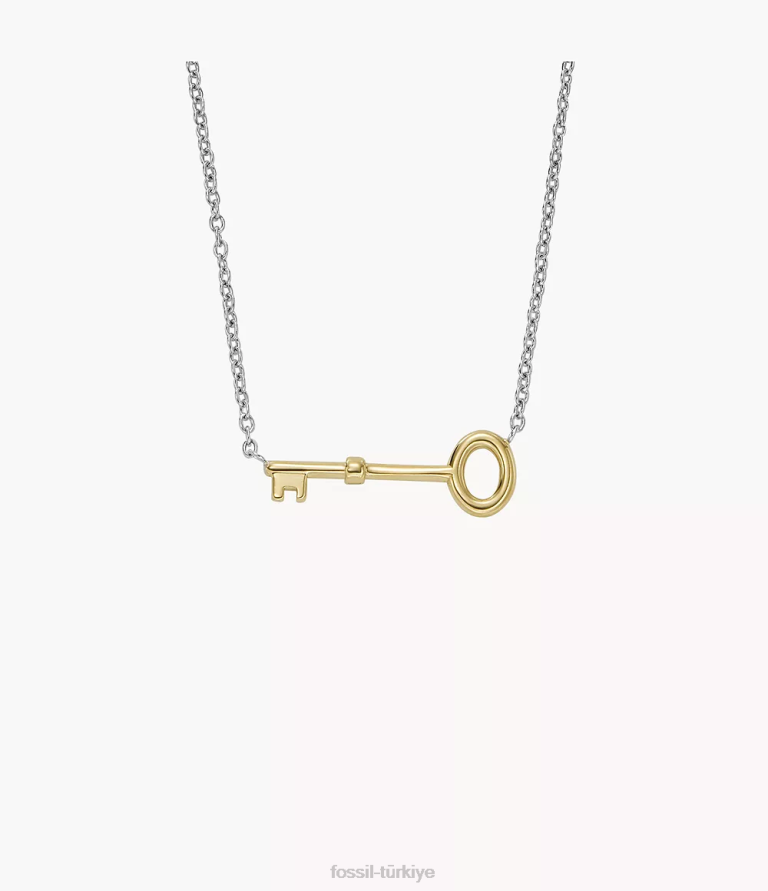 Fossil 6J041191 iki ton arşiv paslanmaz çelik anahtarlık kolye takı kadınlar