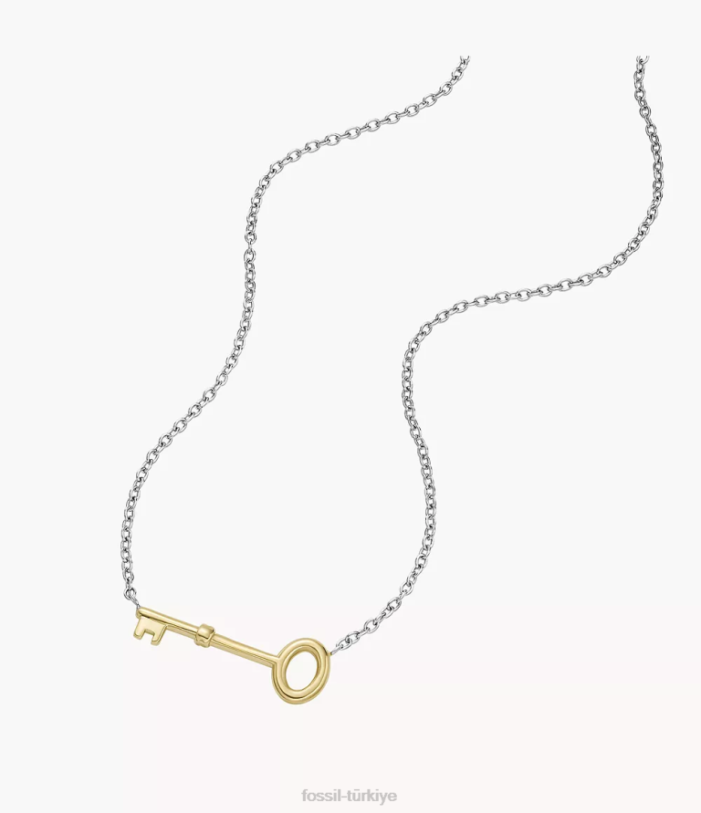 Fossil 6J041191 iki ton arşiv paslanmaz çelik anahtarlık kolye takı kadınlar