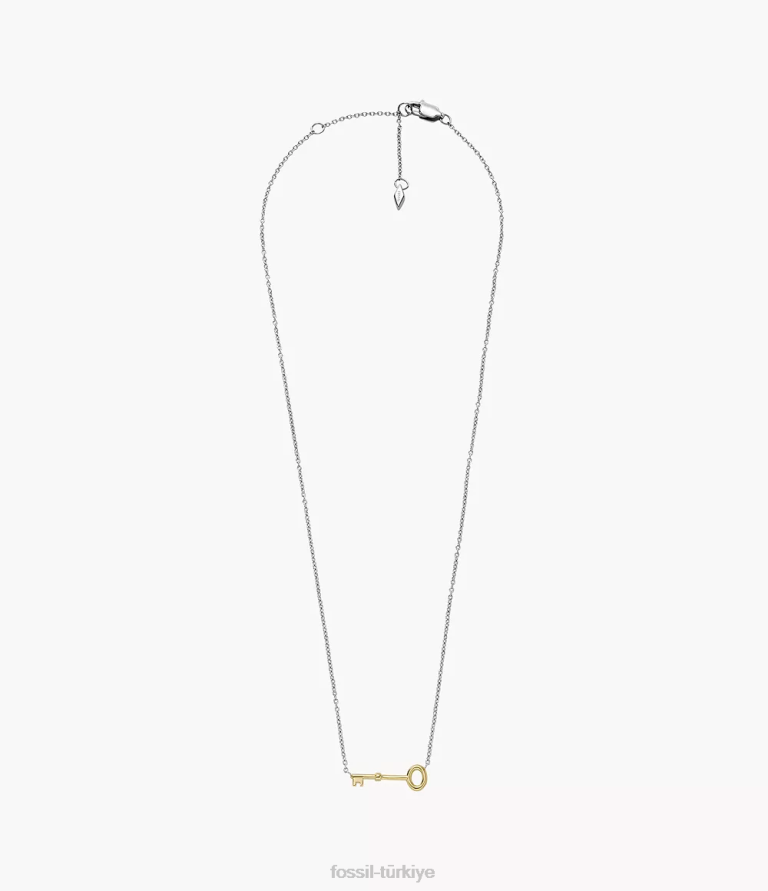 Fossil 6J041191 iki ton arşiv paslanmaz çelik anahtarlık kolye takı kadınlar