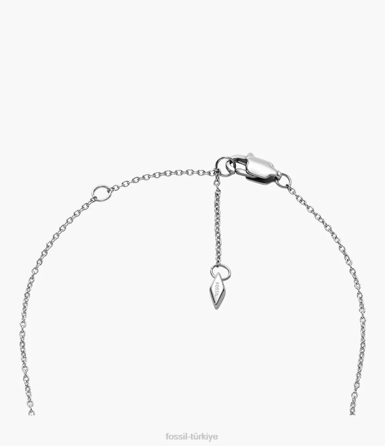 Fossil 6J041191 iki ton arşiv paslanmaz çelik anahtarlık kolye takı kadınlar