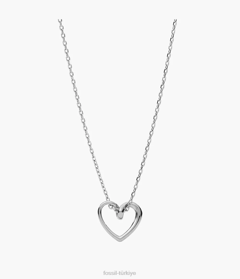 Fossil 6J041199 gümüş ton paslanmaz çelik kolye kolye takı kadınlar