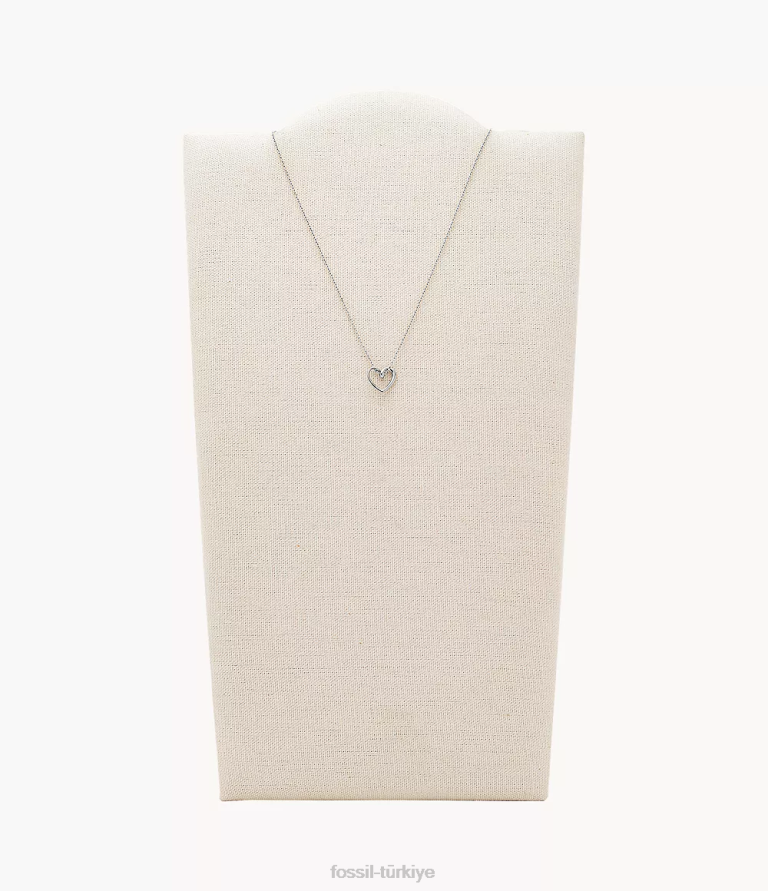 Fossil 6J041199 gümüş ton paslanmaz çelik kolye kolye takı kadınlar