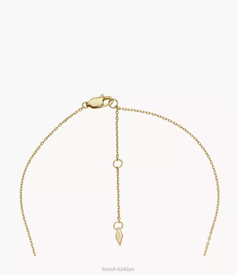 Fossil 6J041213 altın tonu paslanmaz çelik ilk kolye kolye takı kadınlar