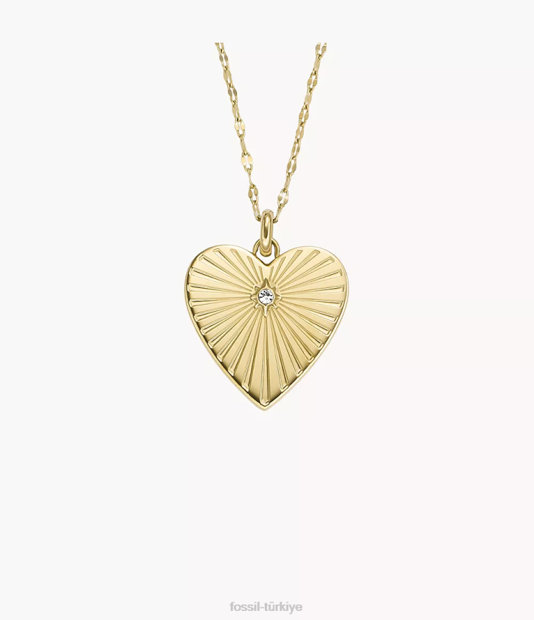 Fossil 6J041229 altın tonu paslanmaz çelik kolye kolye takı kadınlar