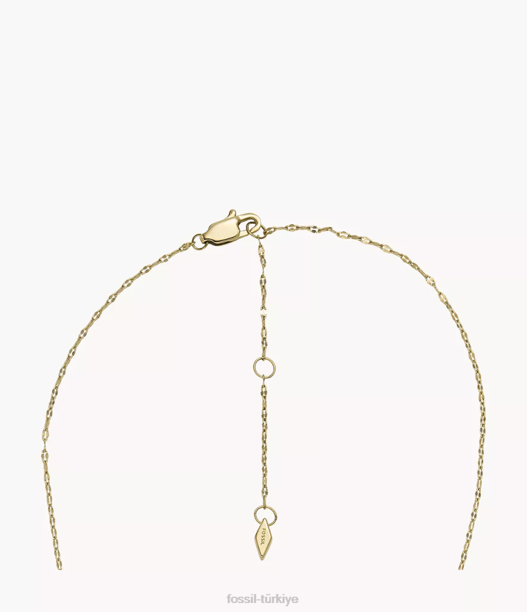 Fossil 6J041229 altın tonu paslanmaz çelik kolye kolye takı kadınlar