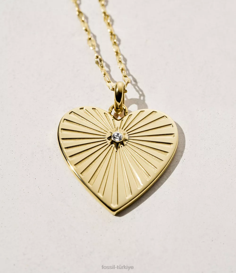 Fossil 6J041229 altın tonu paslanmaz çelik kolye kolye takı kadınlar