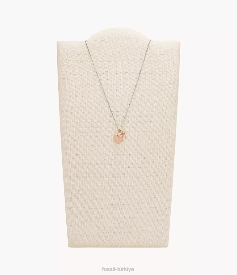 Fossil 6J041238 iki ton paslanmaz çelik kolye kolye takı kadınlar