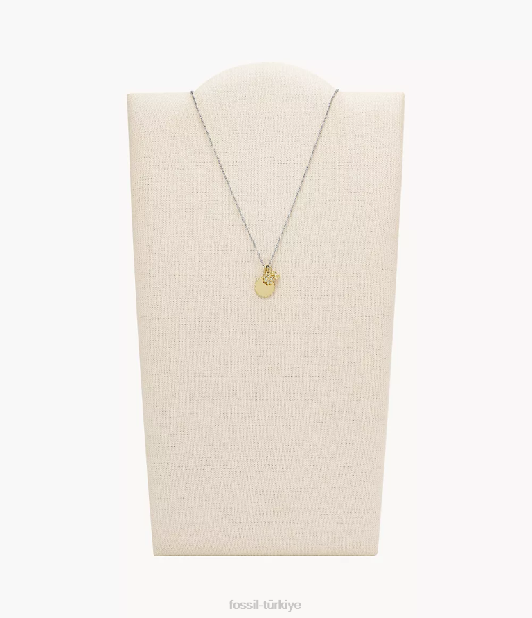 Fossil 6J041239 iki ton paslanmaz çelik kolye kolye takı kadınlar