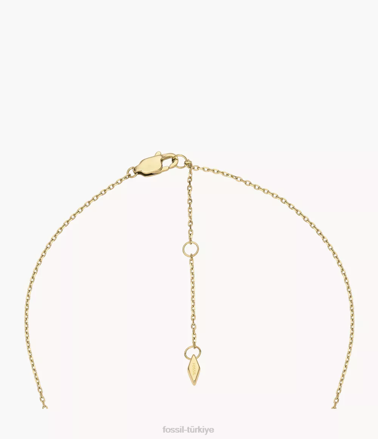 Fossil 6J041247 altın tonu paslanmaz çelik ilk kolye kolye takı kadınlar