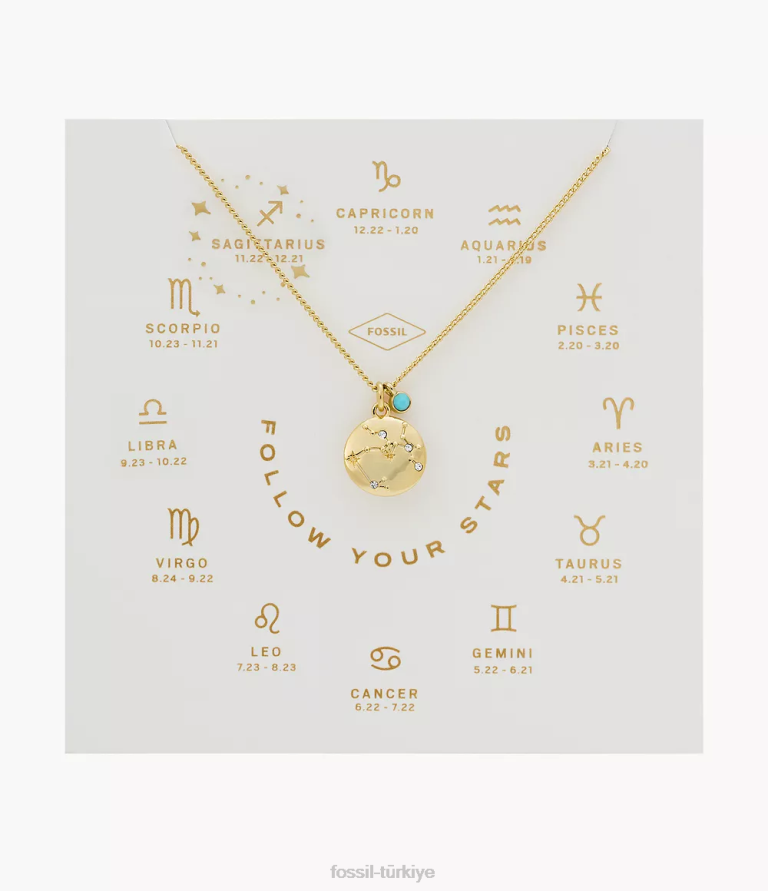 Fossil 6J041250 kristal turkuaz yay burcu kolye takı kadınlar