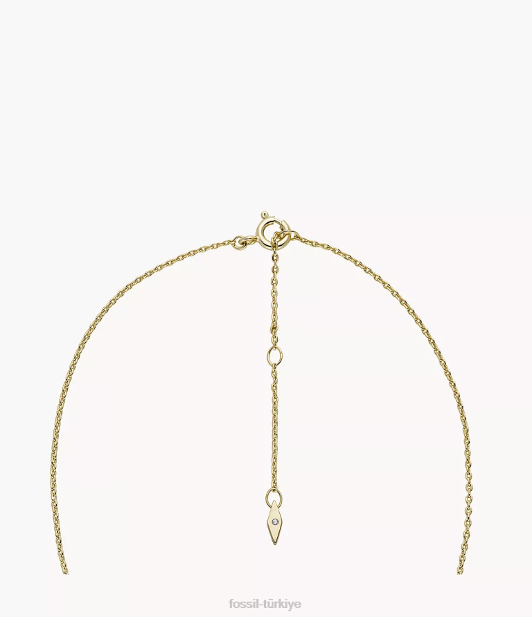 Fossil 6J041260 altın Sadie Shine parlak 14k kaplama pirinç küme kolye takı kadınlar