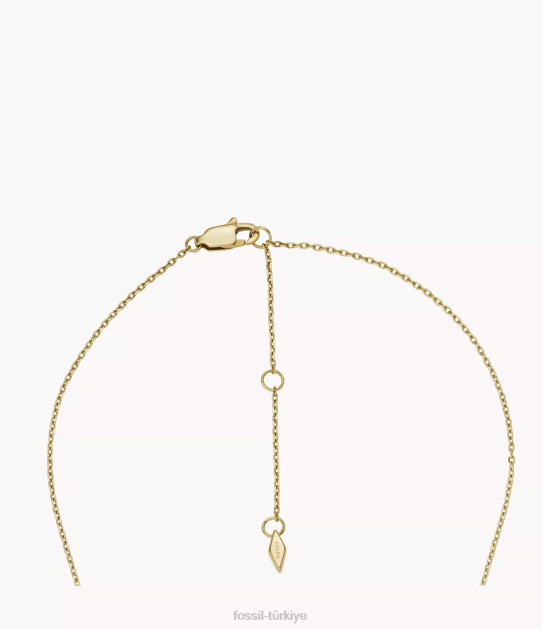 Fossil 6J041266 altın tonu paslanmaz çelik ilk kolye kolye takı kadınlar