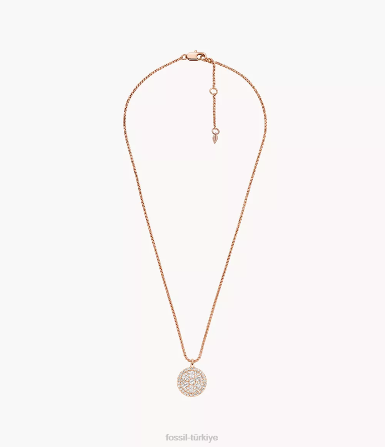 Fossil 6J041268 gül altın tonu ela pirinç kolye kolye takı kadınlar